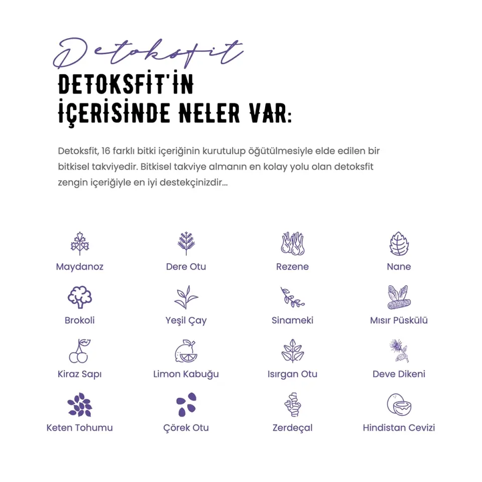 Detoksfit Şaset